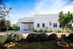 Villa Falgheri with pool - for 6 guests - Image 5