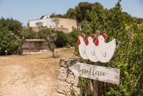 Cava Li Santi Residence a Santa Caterina - Image 4