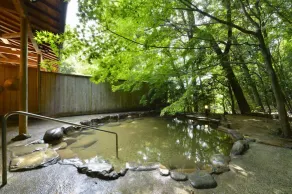 Yumoto Ueyama - Image 2