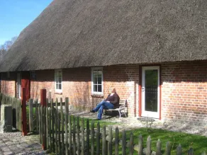 Urlaub  unter   Reet - Image 5