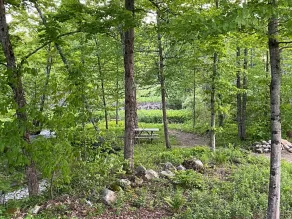 Pet-Friendly Yurt Sleeps 12 with Pool Access - Image 5