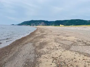 Cozy cottage w/sunset views + quick walk to a private beach (dog friendly!) - Image 5