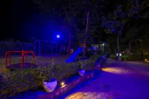 Ashoka's Tiger Trail - Image 2
