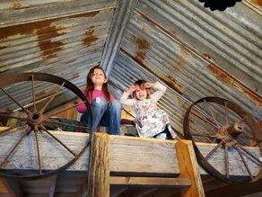 Camping cabin on lakefront ranch in Sandpoint - Image 2