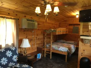 Yellow Warbler Cabin 10 minutes to Cherry Springs - Image 3