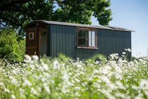 Harbour Ranch Hut - Rustic Countryside Escape - Image 5