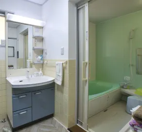 Polaris 113204 Large villa for rent75inTV Nin - Image 3