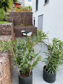 Apartamento Straubenhardt-Ottenhausen para 2 personas - Image 5