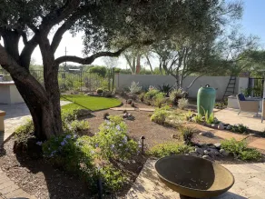 Serene, tree-shaded, mid-century retreat with beautiful views of the Catalinas - Image 3