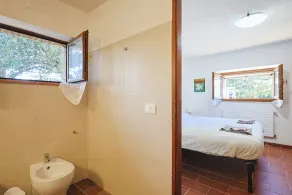 House in the woods with swimming pool. - Image 4