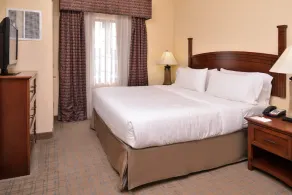 Heated Saltwater Pool + Suite - Image 5