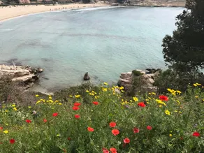 PROVENCE-ALPES-CÔTE D'AZUR <br>Bord de mer (La Presqu'île) 🐟 - Image 4