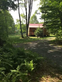 Tea Creek Mountain Cabin - Image 5