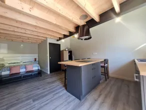 Charming Studio in Renovated Barn with Private Courtyard and Mezzanine - Image 5