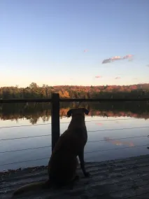 Authentic Northern Maine Lakeside Retreat.  Live Like A Local! - Image 2