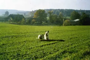 Ruhige Ferienwohnung auf dem Lande - Image 2