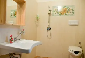 Kamelienzimmer mit Bad für Behinderte - Image 2