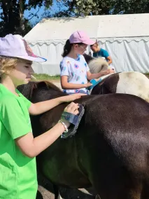 Camping P'tites Hus på prärien - Trailer 2 rum 4 personer - Image 4