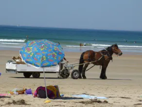 Appartement \"Armor\" dans maison du 18ème à 5 min. des plages de sable fin - Image 5