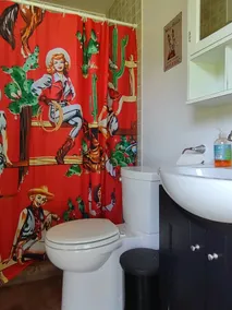 Sweet Little Boho Cottage at Downing Hollow Farm - Image 3