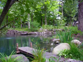 Chalet Sean, peaceful retreat on beautiful mountain brook and walk to river.. - Image 5