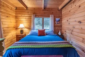 Dry Brook Cabin minutes to Belleayre - Image 5