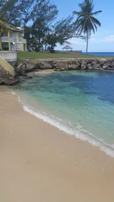 Seapalms - Image 3