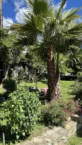 Provencal villa 8 minutes walk from town center with private pool - Image 2