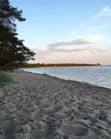 Vacation home Anker - peace, space & garden idyll in Zudar - Image 3