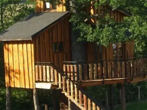 La Cabane Dans les Arbres - Image 4