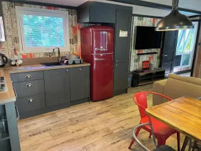 Pet Friendly Lodge - Sleeps 6 - Image 5