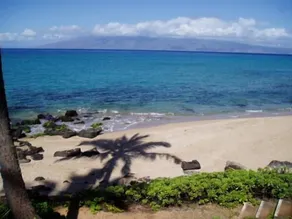 Aloha Hale Ocean View Maui Condo In Ocean Front/Beach Resort Swim with Turtles! - Image 5