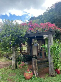 Chácara paraíso dá paz - Image 5