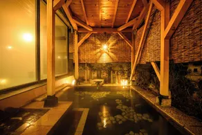 Tamaya Ryokan - Image 3