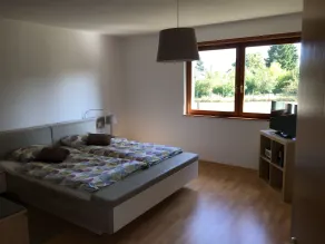 Villa-Alsace SPA -Sport and luxury pool- 17 min from Strasbourg ( sleeps 14) - Image 5
