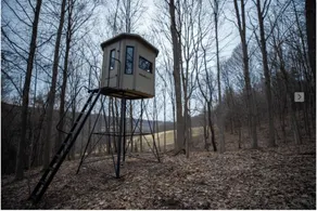 Cabin, cottage, fishing, hunting, trails, creek, ponds, nature - Image 2