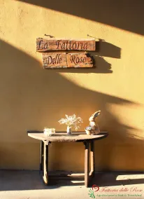Wohnung mitten im Grünen in der Fattoria delle Rose - Image 3
