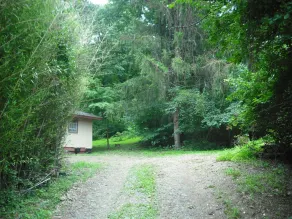 Blue Mountain Cabin, secluded, perfect for couples, near main road - Image 5