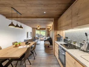 New apartment near slopes, parking & wifi - Image 5
