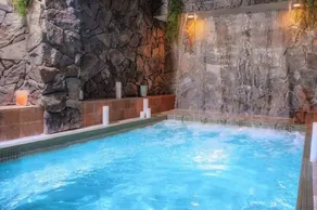 STUDIO BALCONY SKI IN/OUT SPORTS BAR STEAKHOUSE GROCERIES SPA POOLS ARCADE &MORE - Image 3