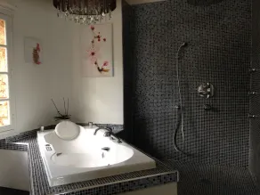 Bastide de caractère avec piscine 15m x 7m pour 12 personnes - Image 2