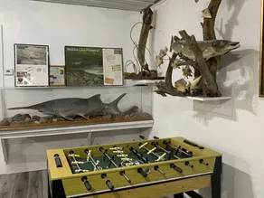ARTISTS & ANGLERS INN - game room - home of Madison Lake Paddlefish!! - Image 2
