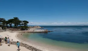 Ist das Leben nicht großartig? - Pacific Grove Home - Strand und Stadt - Image 5