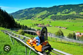 Naturparadies Odenwald/familienspaß Sommerrodelbahn - Image 3