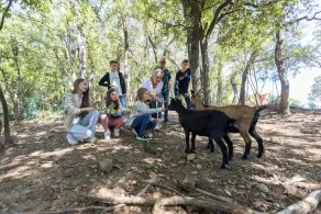 Your 5-star vacation with family or friends. An oasis of tranquility in the heart of the Cévennes! - Image 4