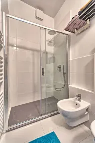 Large Studio Apartment with Terrace and Lake View - Image 2