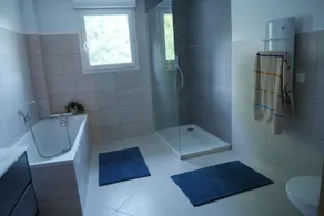 Near the town of Saintes, Typical \"Charente\" renovated house - Image 4