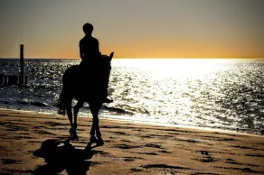 The pearl - Great enjoyment with peace and relaxation - Image 5