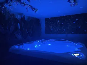 Domaine Le Rocher d Argent avec Piscine Extérieur ,Jacuzzi Intérieur et Salle de jeux - Image 2