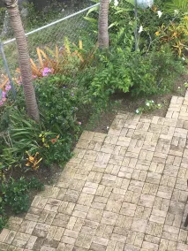 To værelses lejlighed på vestkysten af Barbados, tæt på strandrestauranter - Image 4